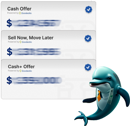 Cash offer examples